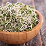 broccoli sprouts.