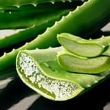 Aloe Vera Leaf.